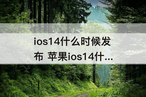 ios14什么时候发布 苹果ios14什么时候发布