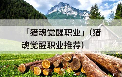「猎魂觉醒职业」(猎魂觉醒职业推荐)