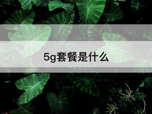 5g套餐是什么