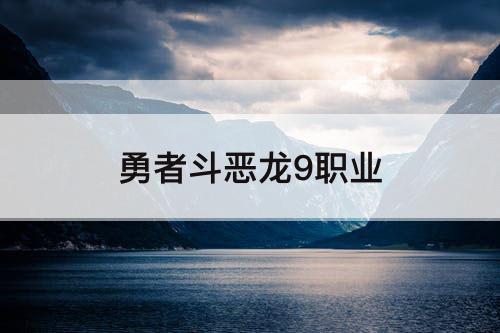 勇者斗恶龙9职业