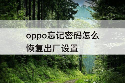 oppo忘记密码怎么恢复出厂设置