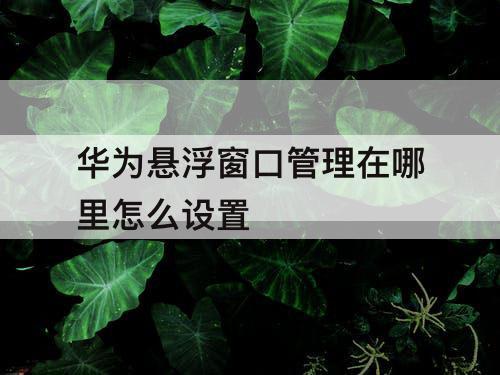 华为悬浮窗口管理在哪里怎么设置
