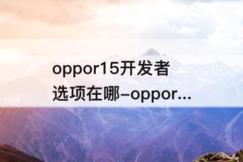 oppor15开发者选项在哪-oppor15开发者选项在哪里设置?