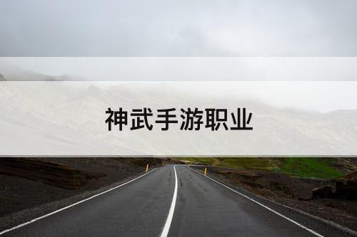 神武手游职业