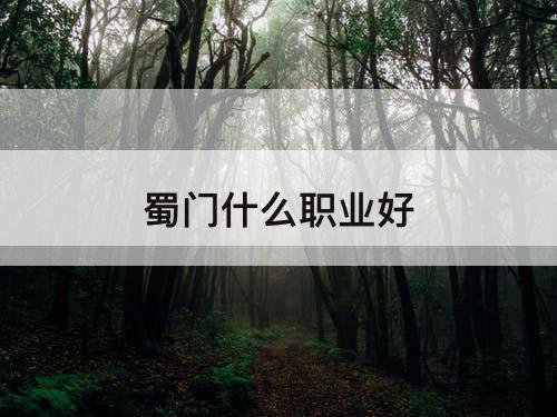 蜀门什么职业好