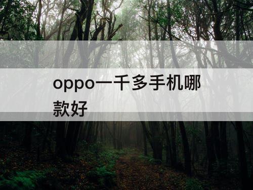 oppo一千多手机哪款好