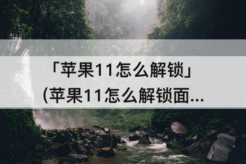 「苹果11怎么解锁」(苹果11怎么解锁面容ID)