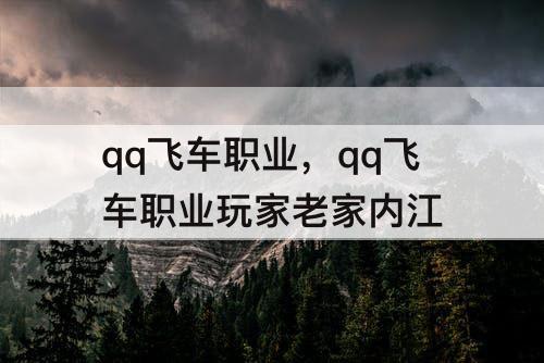 qq飞车职业，qq飞车职业玩家老家内江