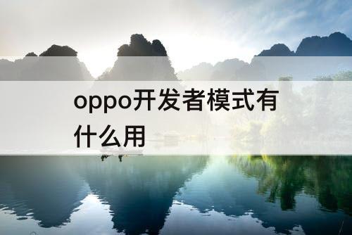 oppo开发者模式有什么用