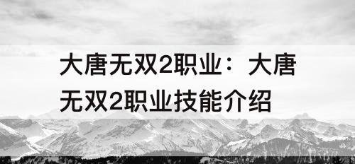 大唐无双2职业：大唐无双2职业技能介绍
