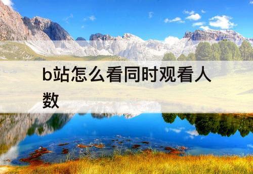 b站怎么看同时观看人数