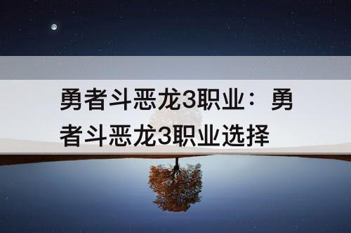 勇者斗恶龙3职业：勇者斗恶龙3职业选择