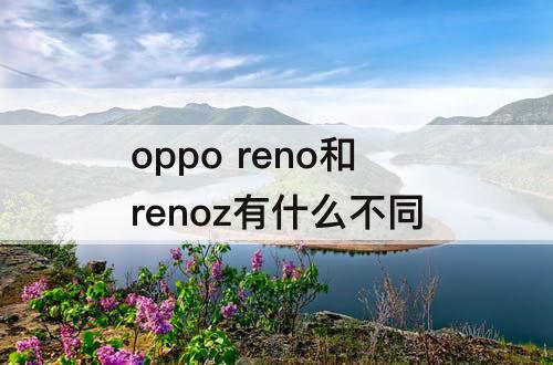 oppo reno和renoz有什么不同
