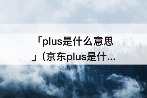 「plus是什么意思」(京东plus是什么意思翻译)