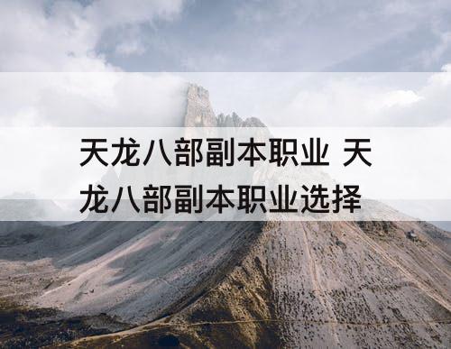 天龙八部副本职业 天龙八部副本职业选择