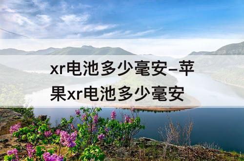 xr电池多少毫安-苹果xr电池多少毫安