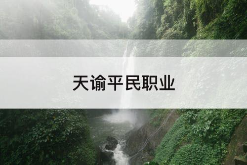 天谕平民职业