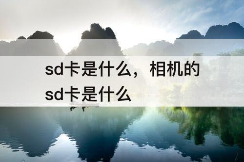 sd卡是什么，相机的sd卡是什么