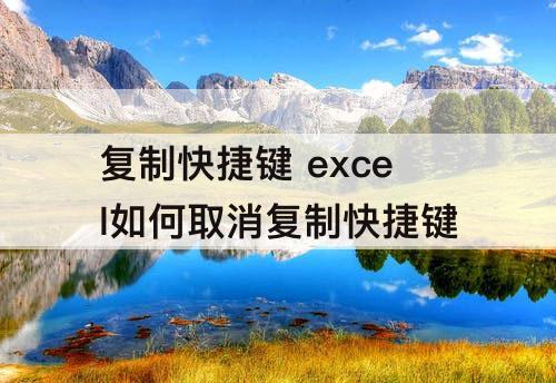 复制快捷键 excel如何取消复制快捷键