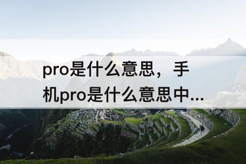pro是什么意思，手机pro是什么意思中文