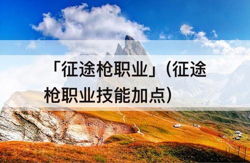 「征途枪职业」(征途枪职业技能加点)