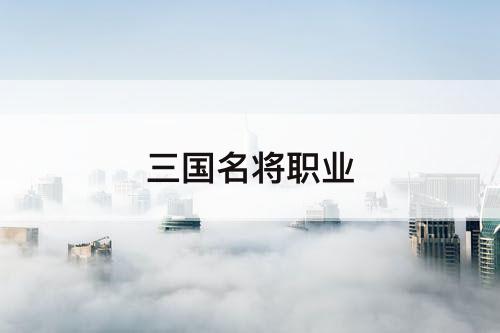 三国名将职业