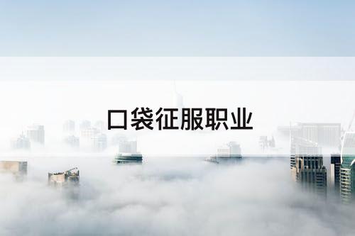 口袋征服职业