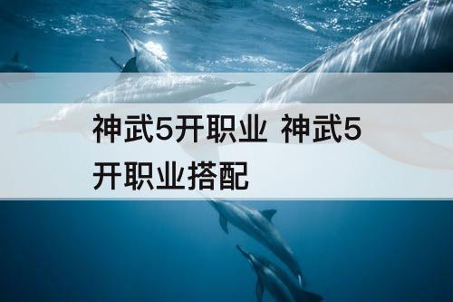 神武5开职业 神武5开职业搭配