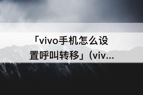 「vivo手机怎么设置呼叫转移」(vivo手机怎么设置呼叫转移通话设置出错)