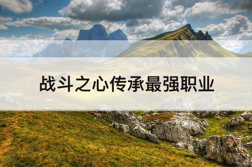 战斗之心传承最强职业