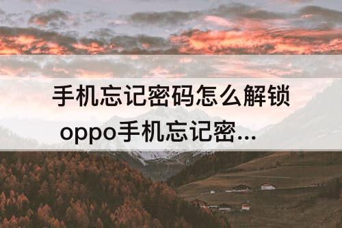 手机忘记密码怎么解锁 oppo手机忘记密码怎么解锁图案