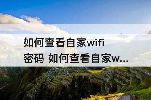 如何查看自家wifi密码 如何查看自家wifi密码华为