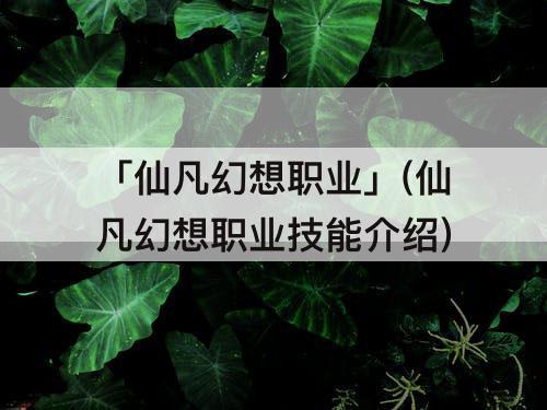 「仙凡幻想职业」(仙凡幻想职业技能介绍)