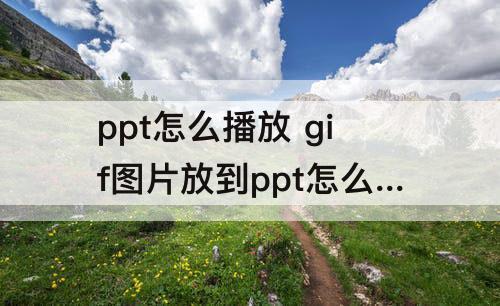 ppt怎么播放 gif图片放到ppt怎么播放