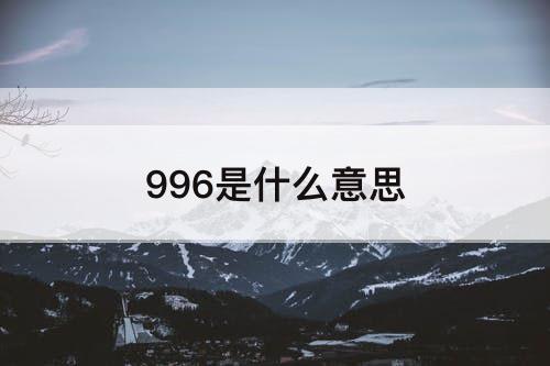 996是什么意思