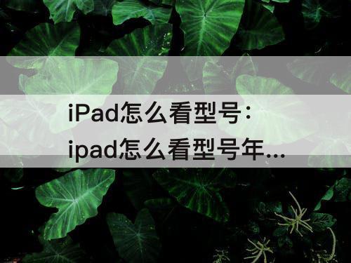 iPad怎么看型号：ipad怎么看型号年份