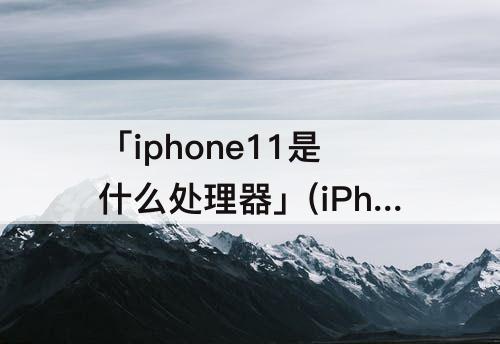 「iphone11是什么处理器」(iPhone11是什么处理器1213)