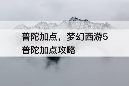 普陀加点，梦幻西游5普陀加点攻略