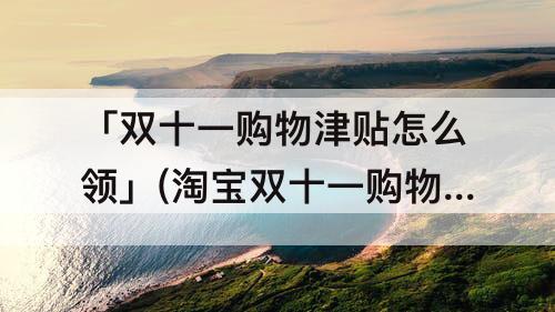 「双十一购物津贴怎么领」(淘宝双十一购物津贴怎么领取)