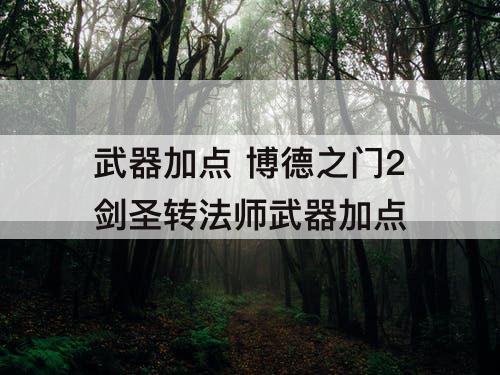 武器加点 博德之门2剑圣转法师武器加点