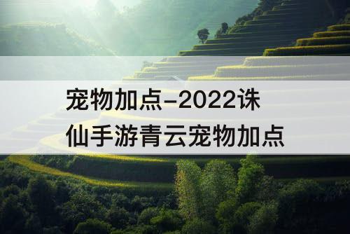 宠物加点-2022诛仙手游青云宠物加点