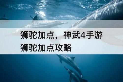 狮驼加点，神武4手游狮驼加点攻略