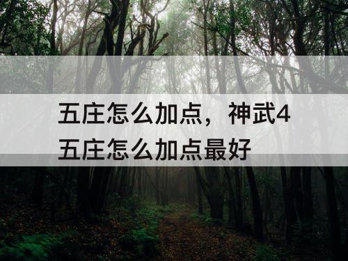 五庄怎么加点，神武4五庄怎么加点最好