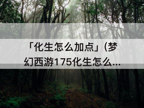 「化生怎么加点」(梦幻西游175化生怎么加点)