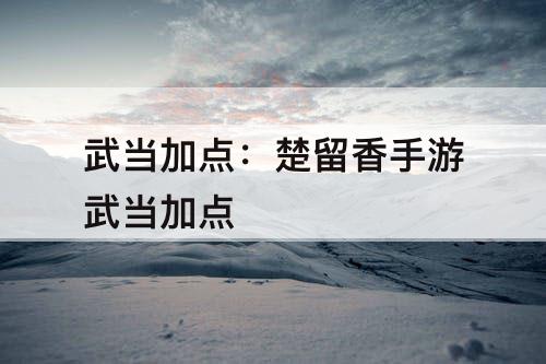 武当加点：楚留香手游武当加点