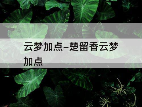 云梦加点-楚留香云梦加点