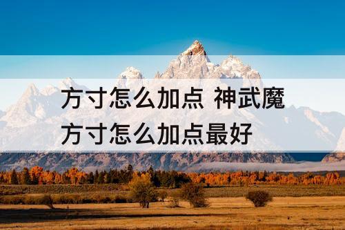 方寸怎么加点 神武魔方寸怎么加点最好