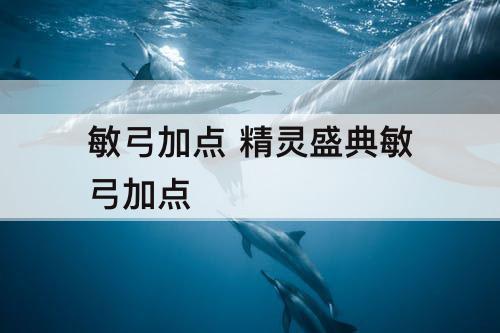 敏弓加点 精灵盛典敏弓加点