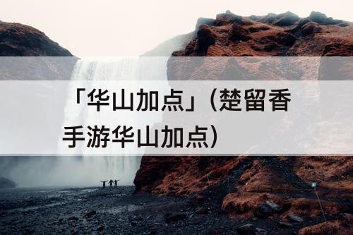 「华山加点」(楚留香手游华山加点)
