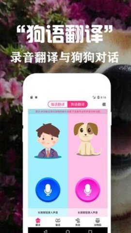 狗语翻译交流器截图